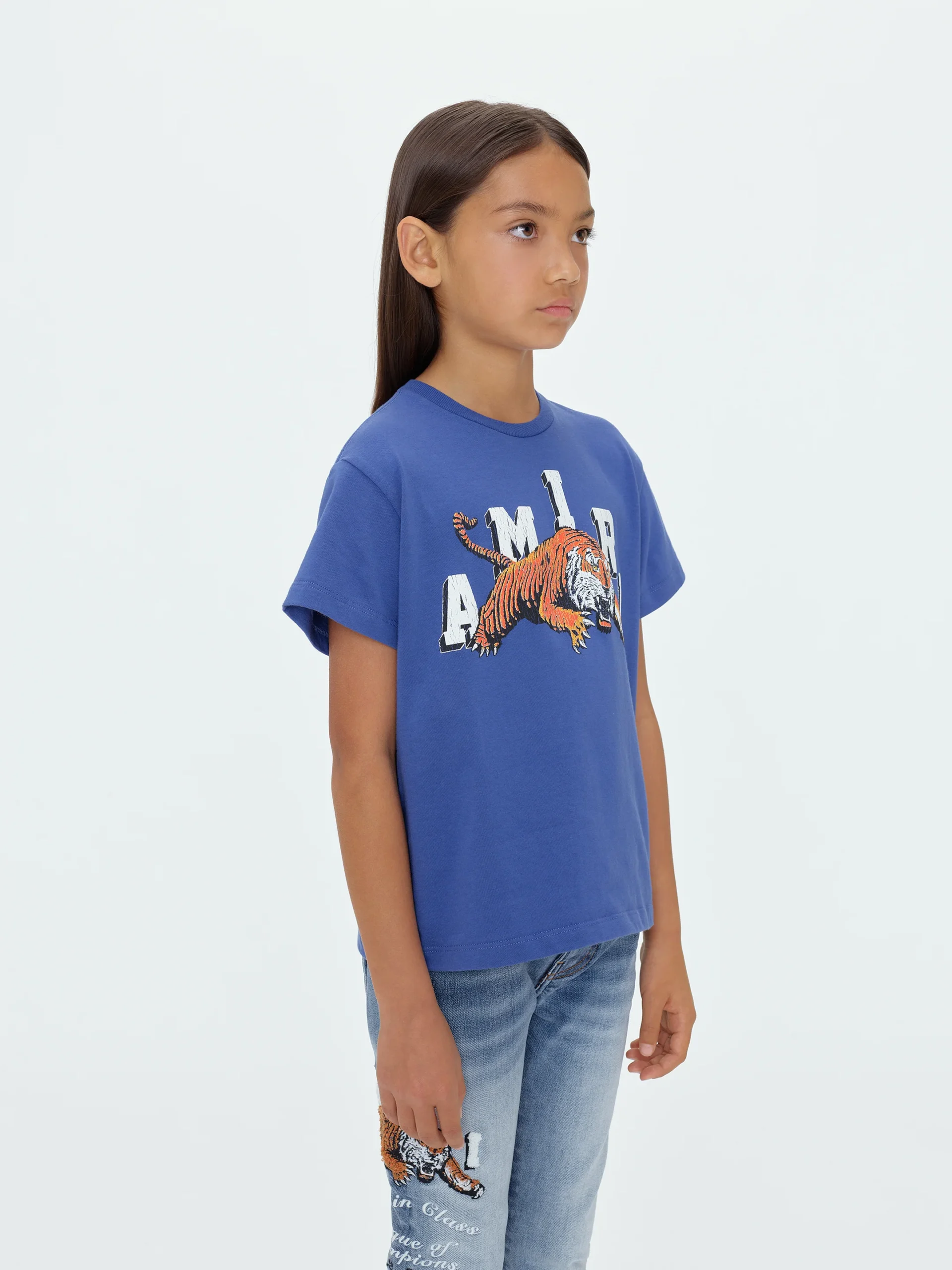 VINTAGE TIGER TEE blue